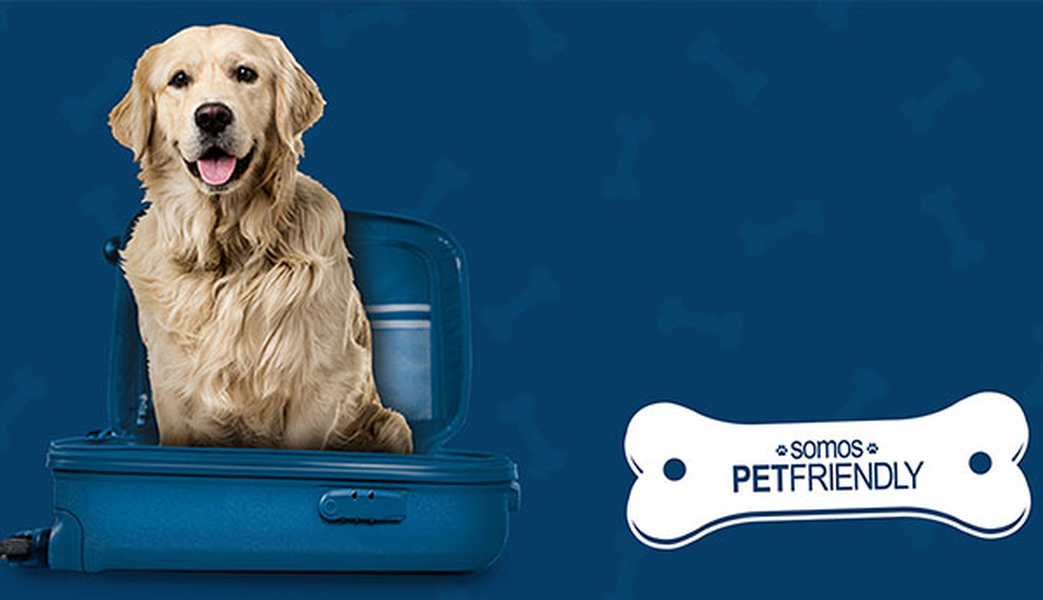 ¿quieres viajar con tu mascota? Hotel Ilunion Las Lomas Mérida